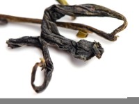 Ци Лань "А" (Чудесная Орхидея) Ци Лань "А" (Чудесная Орхидея)