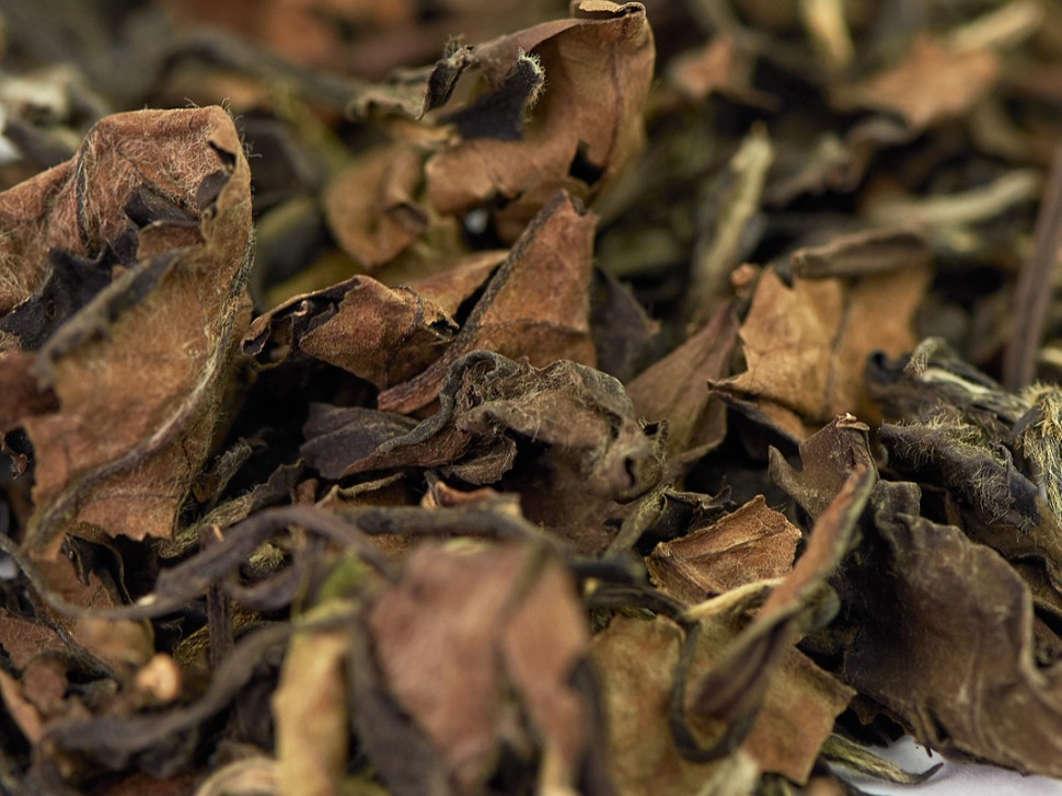 Лао Шоу Мэй Органик (Брови Старца) "А", из Фудина, 2021г.