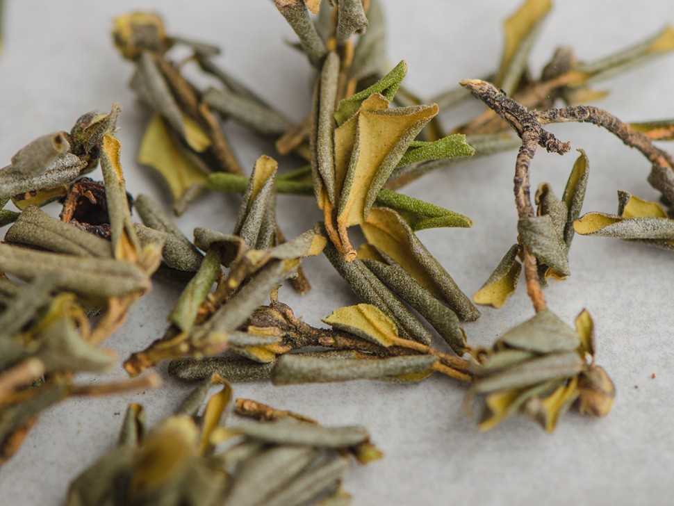 Саган-дайля (Белое Крыло Шамана) "АА", 2025 г. 