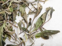 Бай Му Дань "АА" (Белый Пион), 2021г.