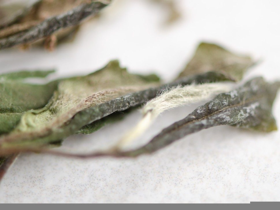 Бай Му Дань "АА" (Белый Пион), 2021г.