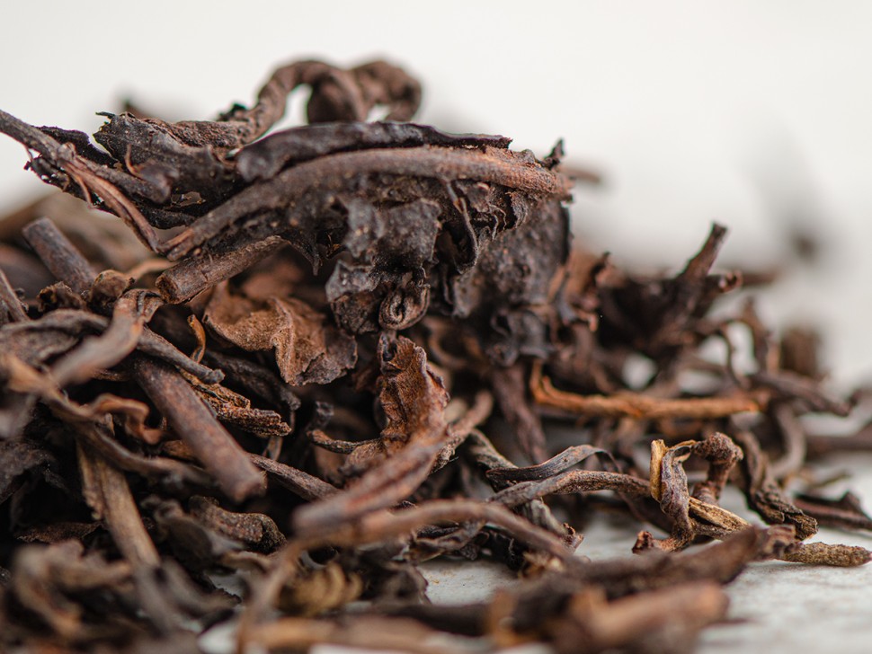 Гу Шу Цзинь Я, 2014 г. 