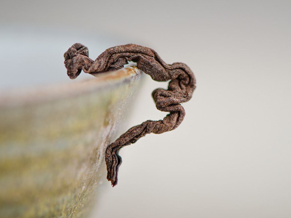 Гу Шу Цзинь Я, 2014 г. 