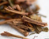 Токусен Ходзича "АА"