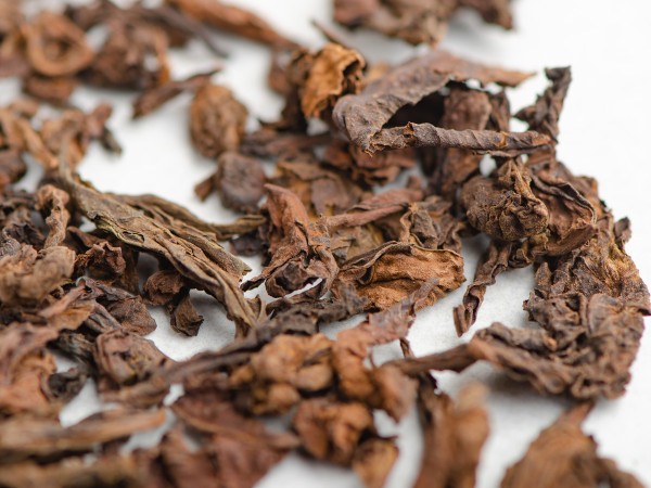 Шу Пуэр "Бирманский Великан", 2019 г.