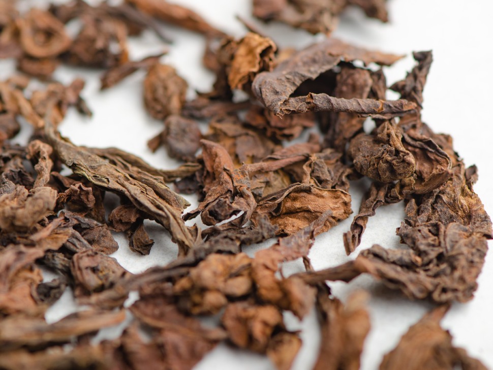 Шу Пуэр "Бирманский Великан", 2019 г.