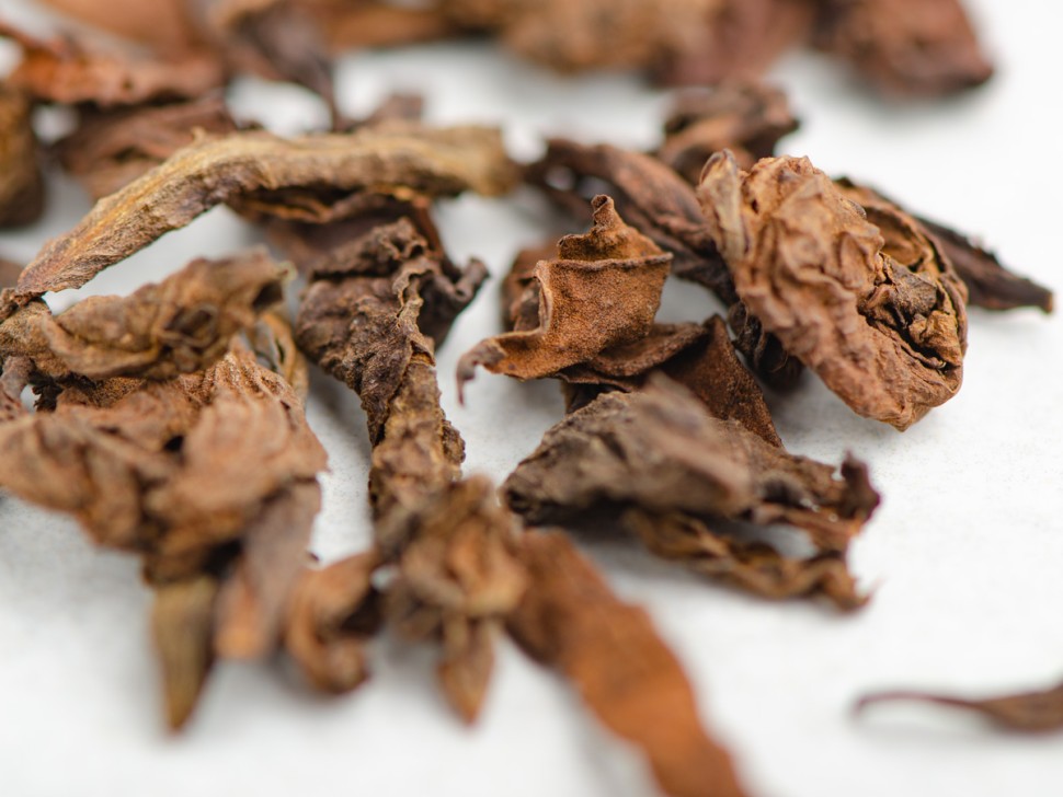 Шу Пуэр "Бирманский Великан", 2019 г.