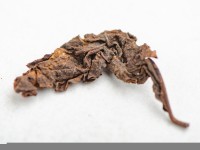 Шу Пуэр "Бирманский Великан", 2019 г.