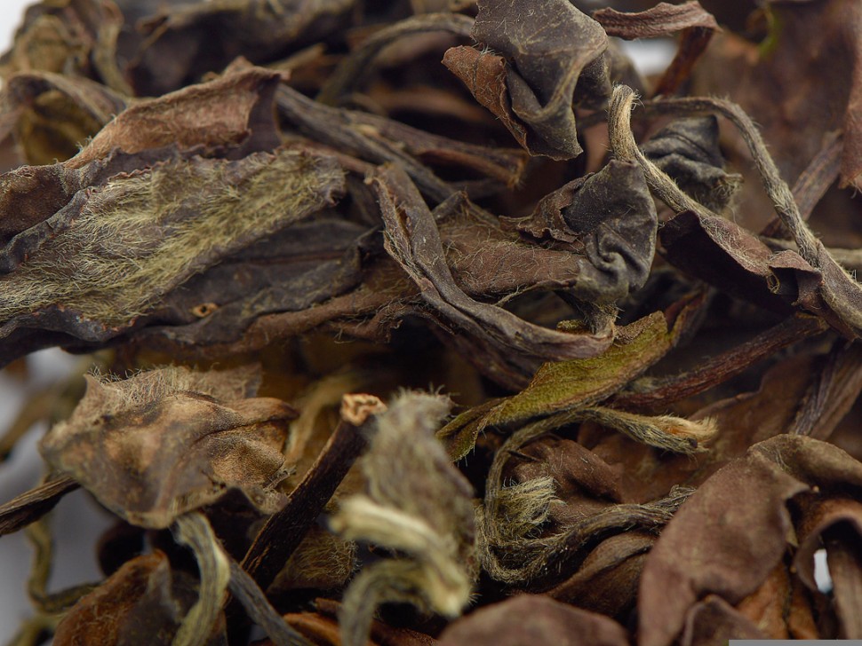 Сымао Шоу Мэй (Брови Старца) "А", 2025 г.