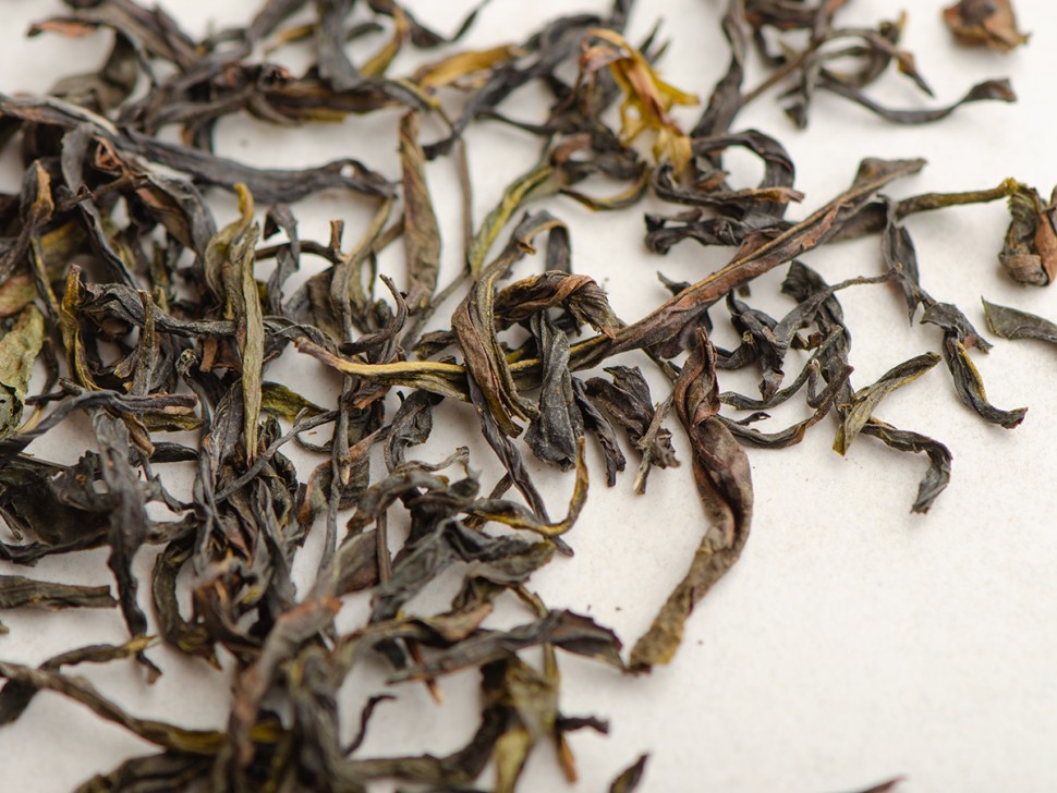 Хуан Чжи Сян (Аромат Жёлтой Акации), "ААА", 2024 г.