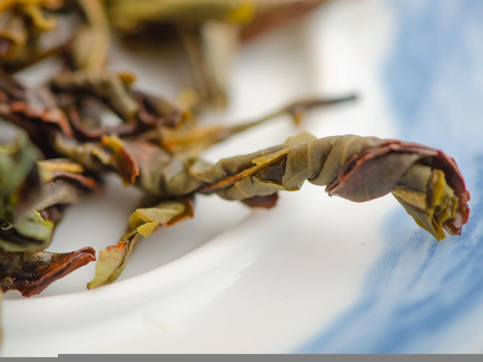 Хуан Чжи Сян (Аромат Жёлтой Акации), "ААА", 2024 г.