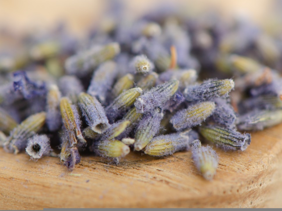 Лаванда "ААА", "Премиум", Китай