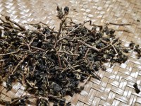 Лао Мао Ча Те Гуань Инь от мастера Чжана, деревня Чжен Шань, осень 2005 г.