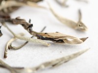 Юэ Гуан Бай "АА" (Белый Лунный Свет), весна 2025 г.