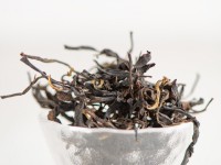 ГАБА "Древесная", Zemo, Грузия, 2025 г.