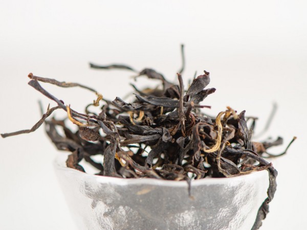 ГАБА "Древесная", Zemo, Грузия, 2025 г.