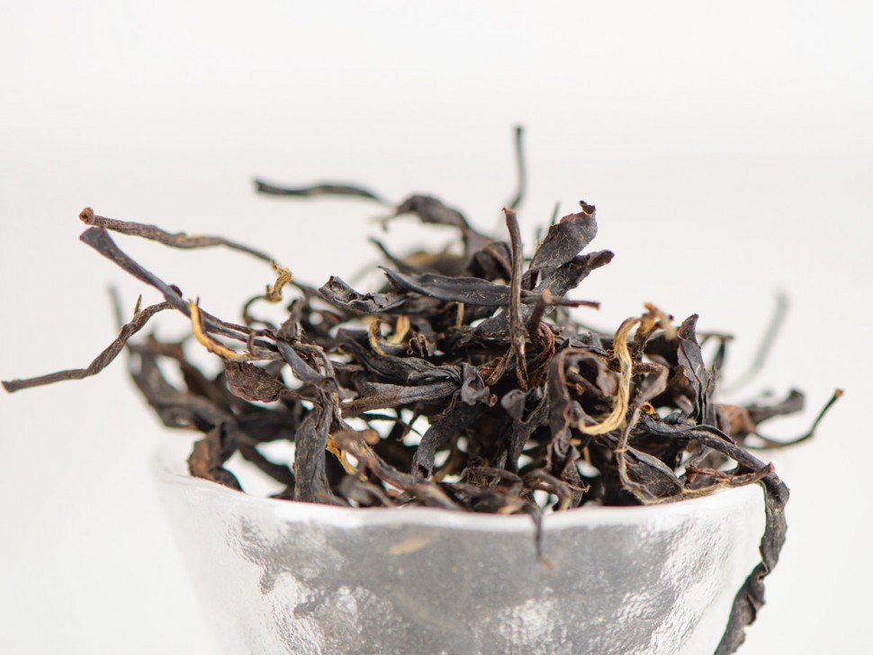 ГАБА "Древесная", Zemo, Грузия, 2025 г.