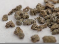 Жень Шень Улун "ААА", 2025 г.