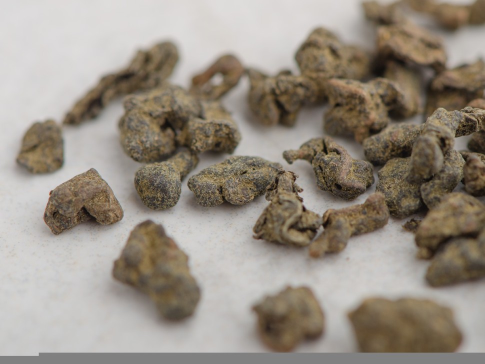 Жень Шень Улун "ААА", 2025 г.