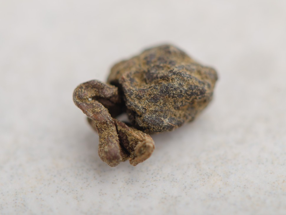 Жень Шень Улун "ААА", 2025 г.