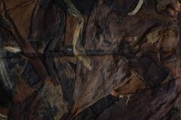 Лао Шоу Мэй в плитке, серия "Чайные Марки", Чайная Почта, 7 г., 2021 г.