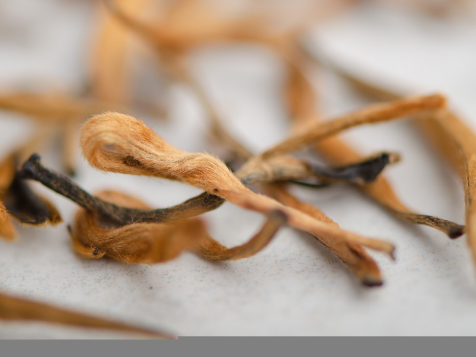 Дянь Хун Да Цзинь Я "ААА" (Большая Золотая Почка), 2025г.