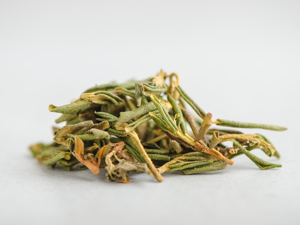 Саган-дайля "Летний" (Сайган Дайля, Белое Крыло Шамана) "ААА", 2025 г.