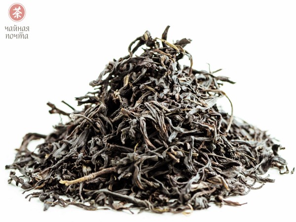 Цзю До Цзы Дань Цун "ААА" (Одинокие Кусты с Острозубчатыми листьями)