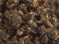 ГАБА Али Шань "ААА" (ГАБА с Горы Али) ГАБА Али Шань "ААА" (ГАБА с Горы Али)